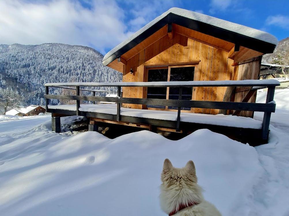 Le Chalet Du Blanc Spa Yoga アイヨン・ル・ジュンヌ エクステリア 写真